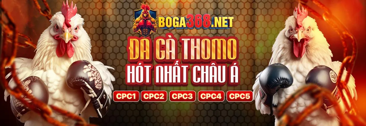 Hình ảnh minh họa chính sách cookie C168C Link Mới