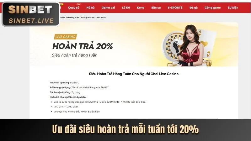 Các sự kiện và giải đấu đặc biệt